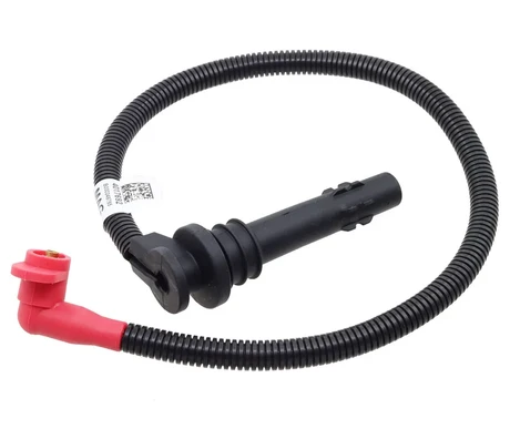 Sytytysjohto, Polaris kuva