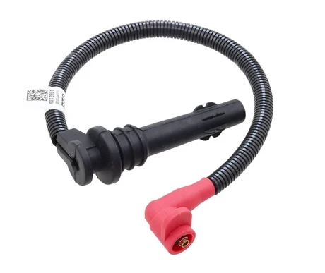 Sytytysjohto, Polaris kuva