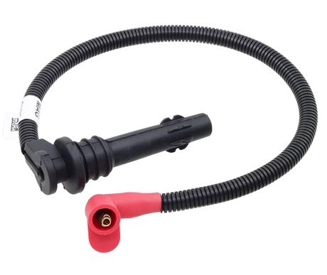 Sytytysjohto, Polaris kuva