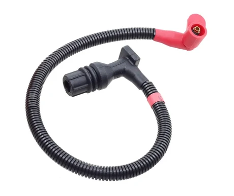 Sytytysjohto, Polaris kuva