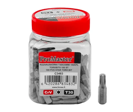 Teräpalat T30 x 25 mm 100 kpl kuva