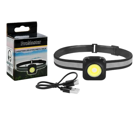 LED-otsalamppu 300 lm ladattava kuva