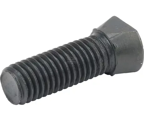 Auran kartiopultti ja mutteri, M12 x 40 mm kuva