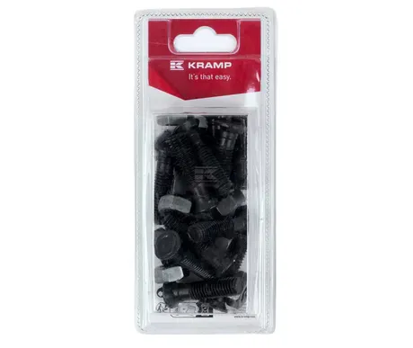 Auran pultti M10 x 40 mm, 12 kpl kuva