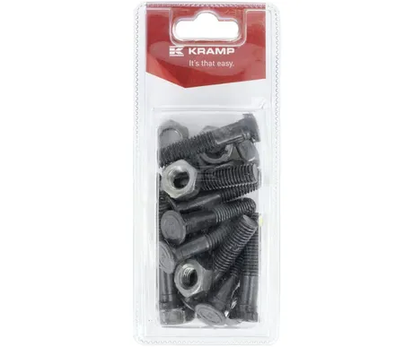 Auran pultti M10 x 50 mm, 12 kpl kuva