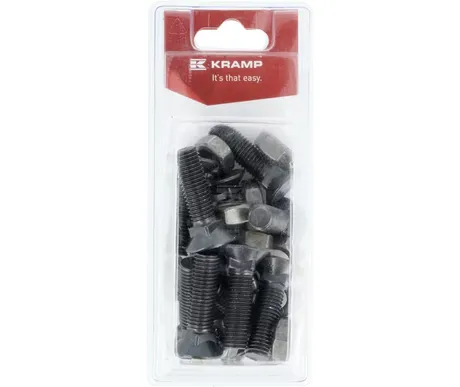 Auran pultti M11 x 40 mm, 12 kpl kuva