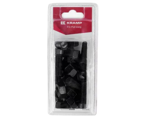 Auran pultti M12 x 38 mm, 12 kpl kuva