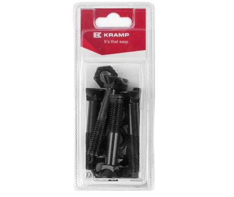 Auran pultti M12 x 70 mm, 6 kpl kuva