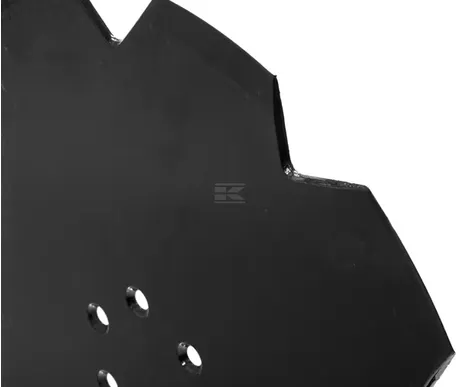 110029n 2 kuva