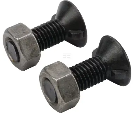 Auran pultit 2 x M12 x 35 2N + mutterit kuva