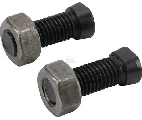 Auran pultit 2 x M12 x 38 C2F + mutterit kuva