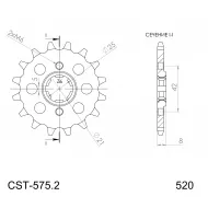 CST-575-15-1