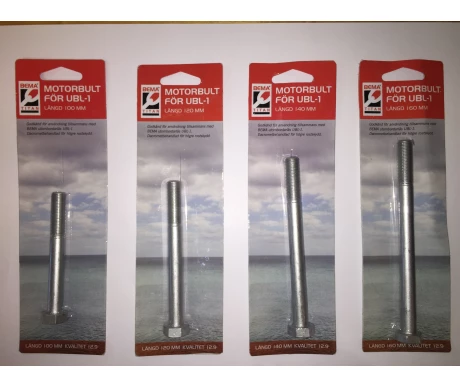 Bema UBL-1  M6S 12.9 M12x1,25x120 Dacrom kuva