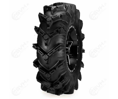 itpcryptid 74 0629 kuva