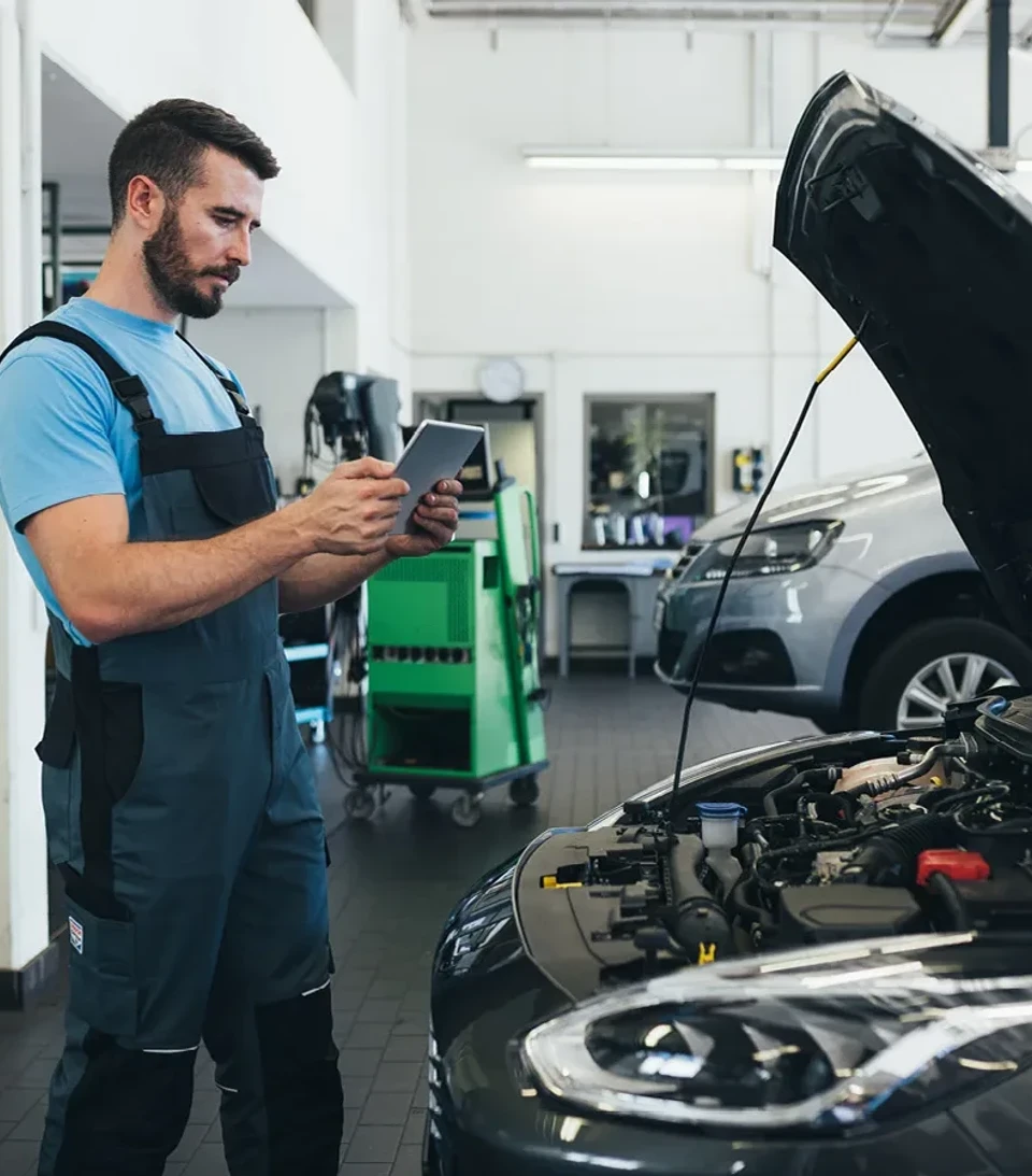 503314372 1316799213783174 145834922768273334 n