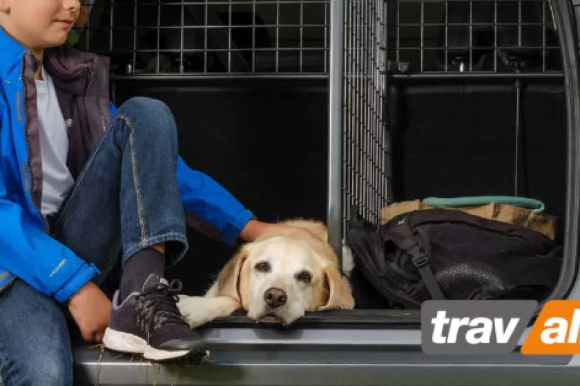 Tilanjakaja autoon Travall