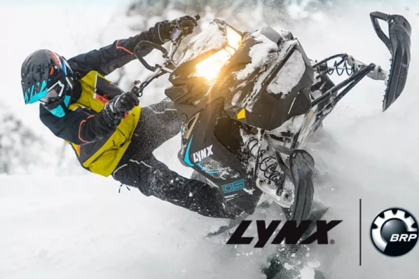 lynx