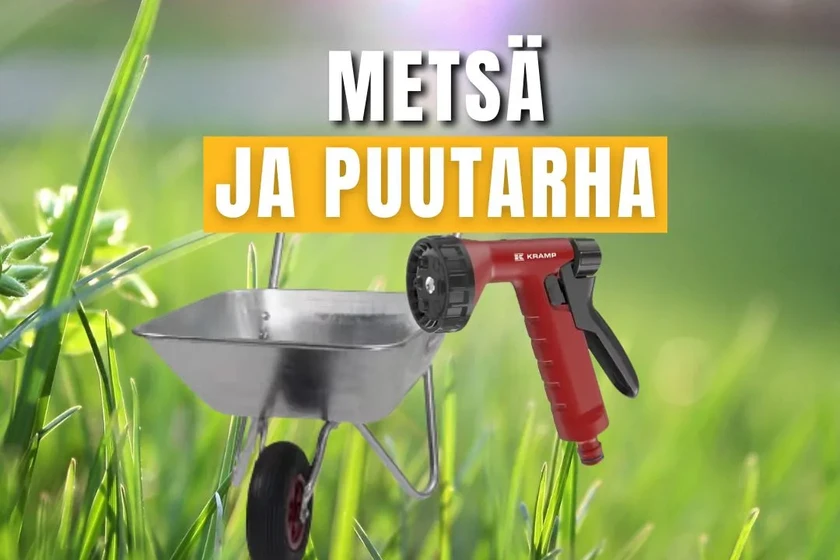 paasiainen 2