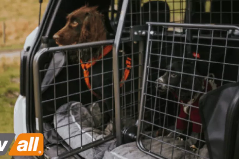 travall koiraveraja autoon v3